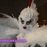 Mask Singer : le Cygne démasqué, qui s'y cachait ? Réponse ! (VIDÉO)