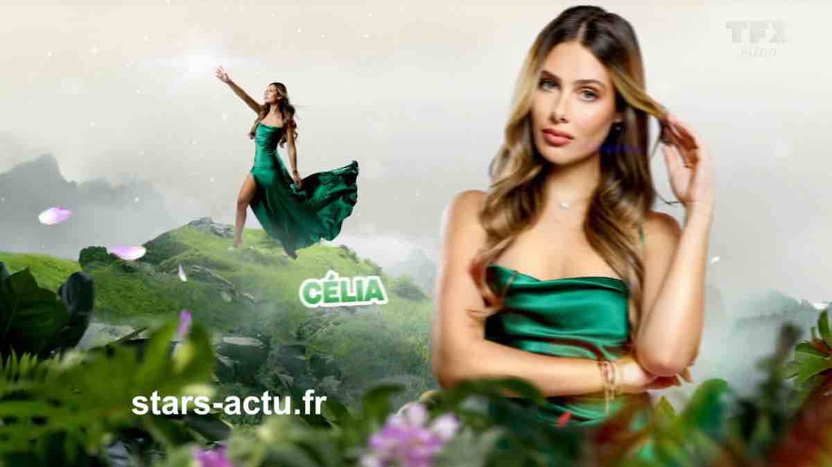 Secret Story 13 : la seconde quotidienne sur TFX déjà en baisse