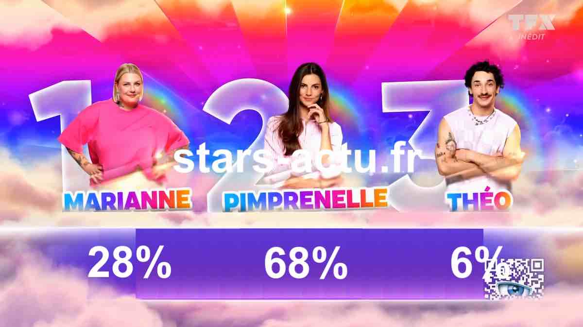 Secret Story estimations : Pimprenelle en baisse, Marianne remonte, Théo bon dernier (SONDAGE)