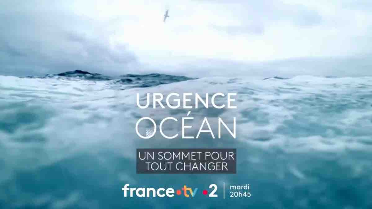 « Urgence océan : un sommet pour tout changer » : votre soirée évènement ce soir sur France 2 (10 juin)