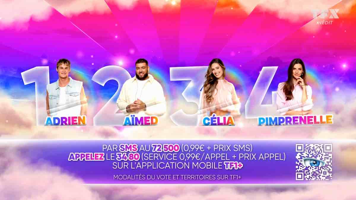 Secret Story : Adrien, Aïmed, Célia et Pimprenelle nominés, qui doit rester ? (SONDAGE)