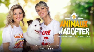 Animaux à adopter : nouvelle saison inédite dès le 21 septembre