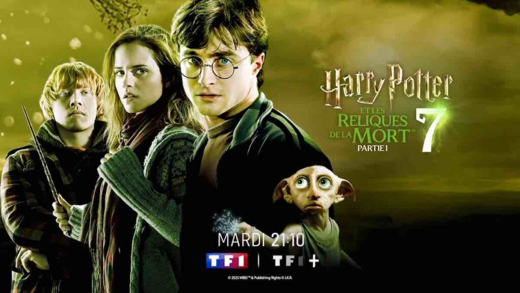 « Harry Potter et les reliques de la mort - partie 1 » : votre film ce soir sur TF1 (2 décembre 2025)