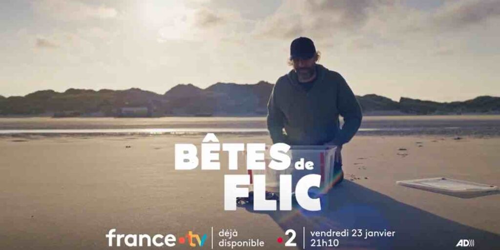 Audiences 23 janvier 2026 : « Bêtes de flic » leader devant « Danse avec les Stars »