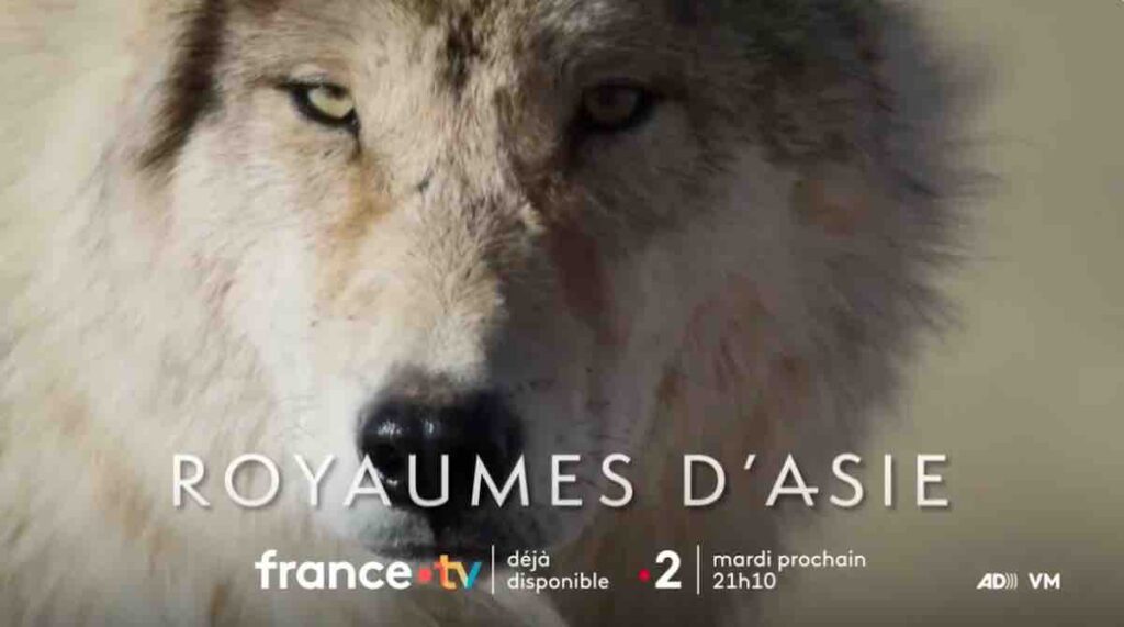 « Royaumes d'Asie » : votre documentaire inédit ce soir sur France 2 (3 mars 2026)