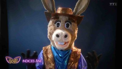 Mask Singer : quels sont les premiers indices sur l'Ane ?