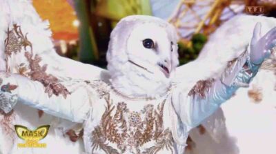 Mask Singer : quelle star est sous la Chouette ? Nouveaux indices et prono !