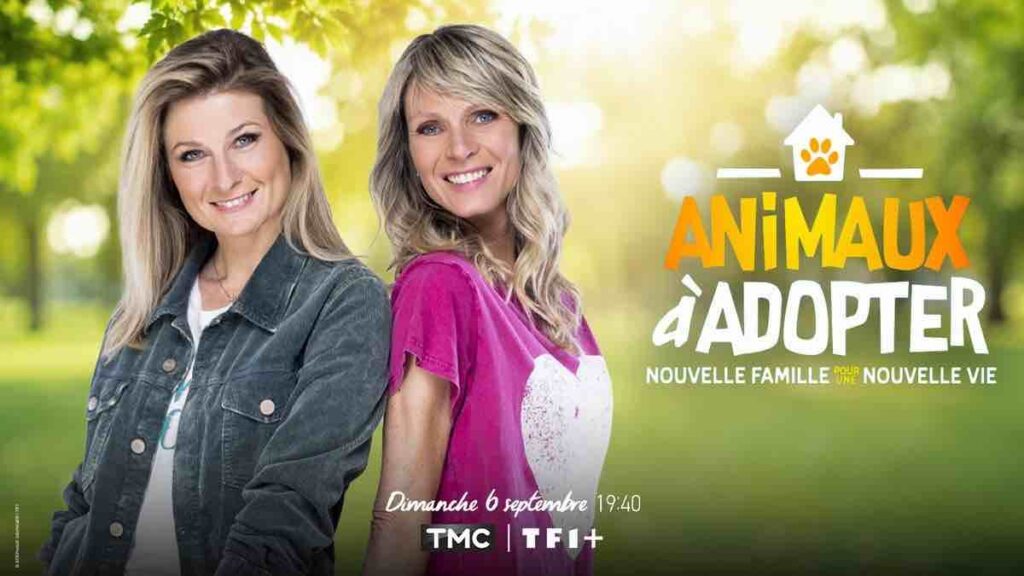 « Animaux à adopter » : la nouvelle saison arrive bientôt sur TMC !