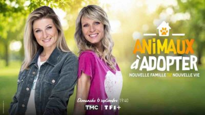 « Animaux à adopter » : la nouvelle saison arrive bientôt sur TMC !