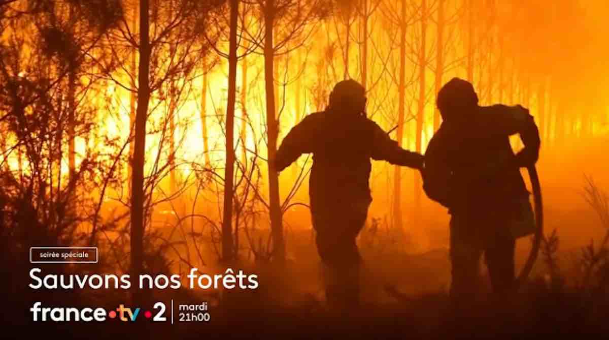 « Sauvons nos forêts » : votre soirée en direct ce soir sur France 2, les invités (15 septembre)