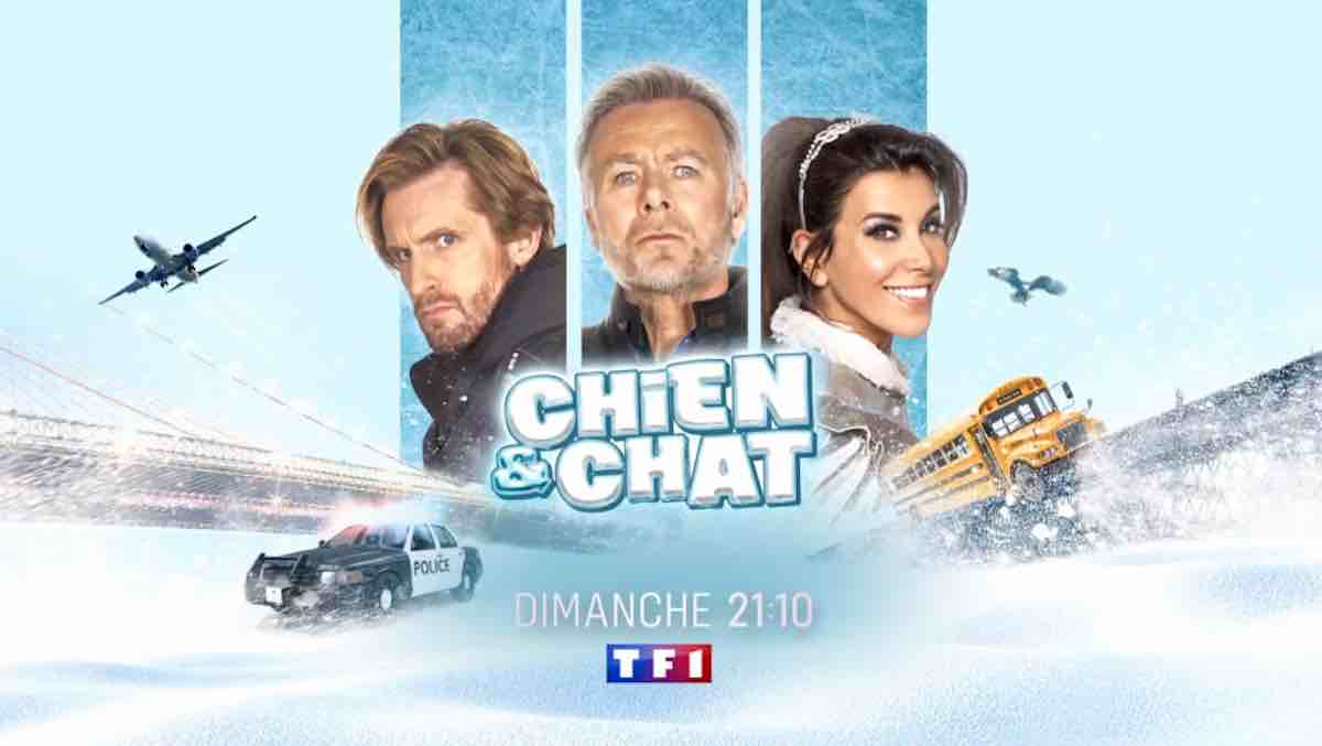 « Chien et chat » : histoire et interprètes du film inédit ce soir sur TF1 (18 octobre 2026)